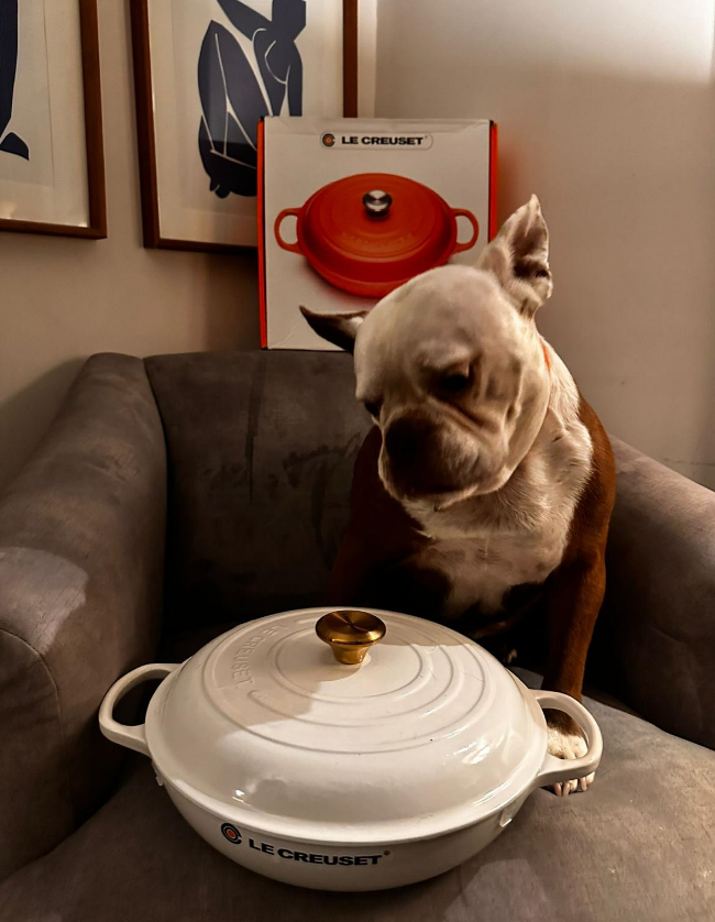 Reggie Recommends Le Creuset New Colour White