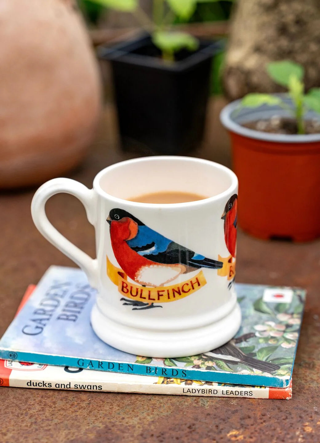 Emma Bridgewater New Bullfinch 1/2 Pint Mug