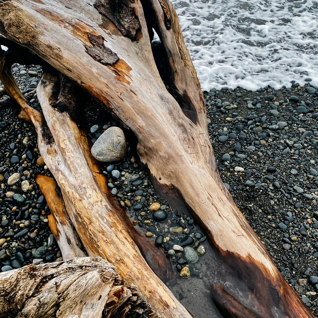 St Eval Sea Moss & Driftwood, Scented Tealights NEW