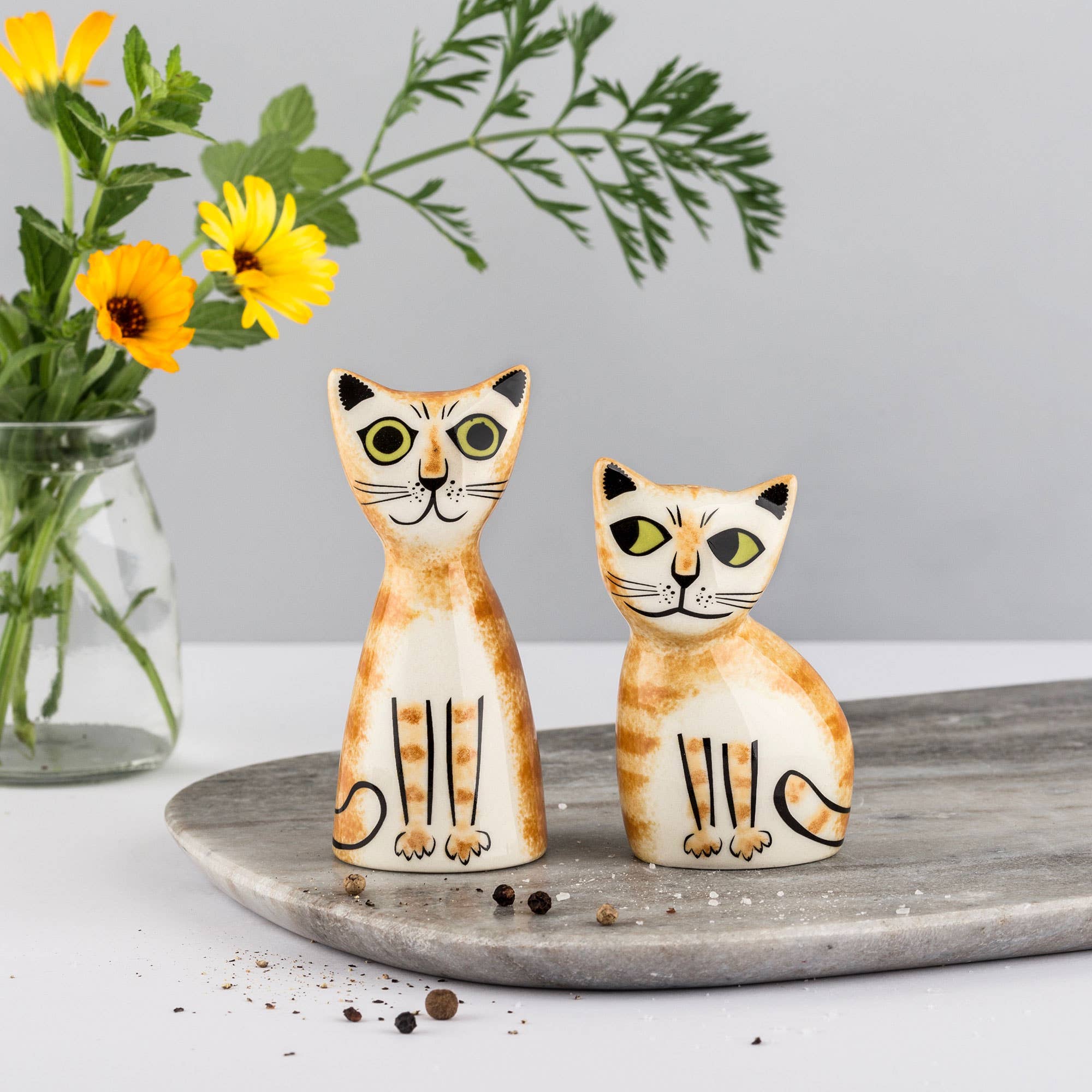 Hannah Turner Ginger Cat Salt and Pepper Shakers
