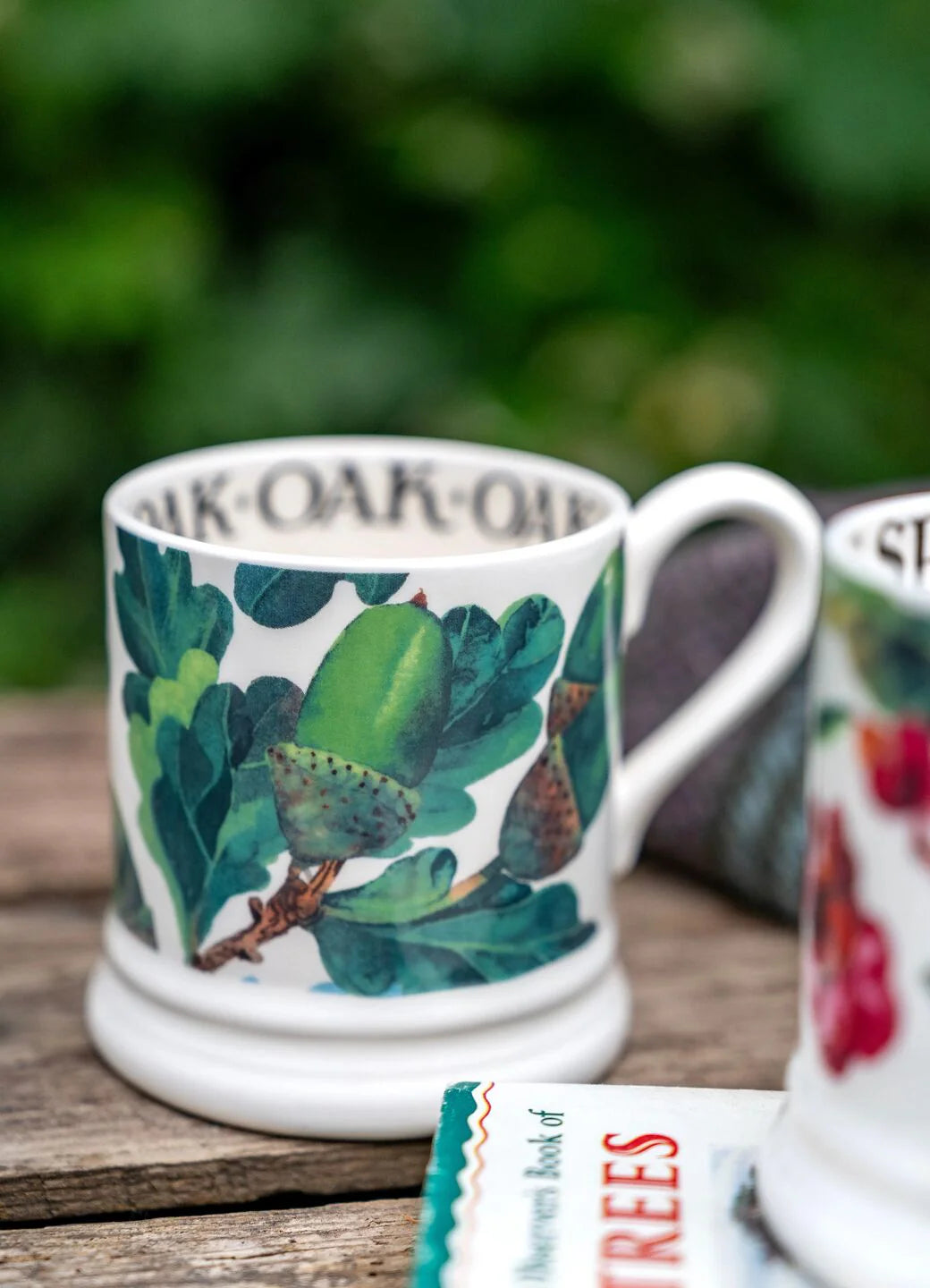 Emma Bridgewater New Acorns 1/2 Pint Mug