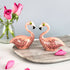 Hannah Turner Handmade Ceramic Flamingo Salt and Pepper Shakers