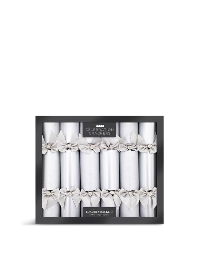 Heart & Soul Christmas Crackers - Frosty Silver (6pcs)