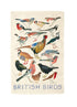 Emma Bridgewater NEW British Birds Tea Towel