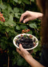 Emma Bridgewater New Blackberry Cereal Bowl