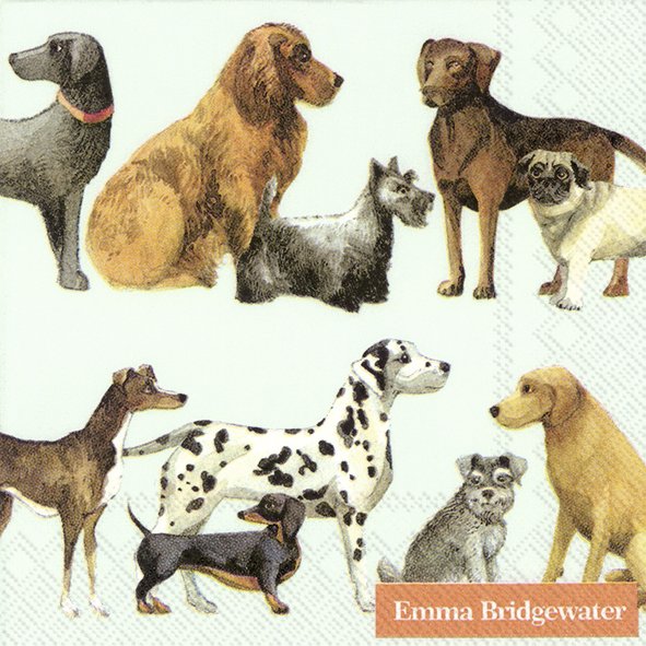 Emma Bridgewater Dogs Light Blue Cocktail Napkins