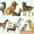 Emma Bridgewater Dogs Light Blue Cocktail Napkins
