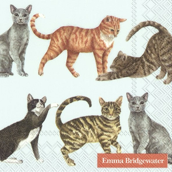Emma Bridgewater Cats Lights Blue lunch Napkins