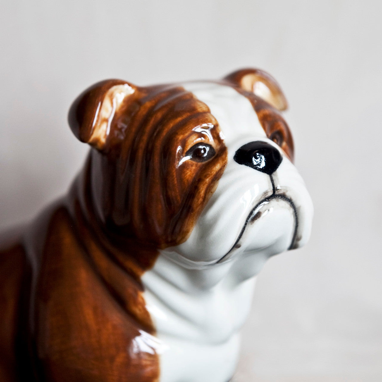 Quail English Bulldog Money Box