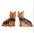 Quail Yorkshire Terrier Salt & Pepper Set