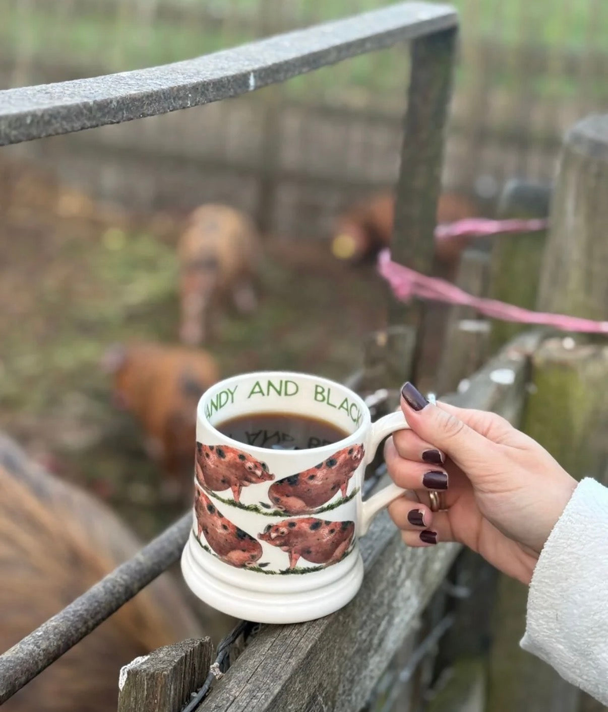 Emma Bridgewater New Oxfordshire Sandy & Black Pig 1/2 Pint Mug