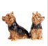 Quail Yorkshire Terrier Salt & Pepper Set