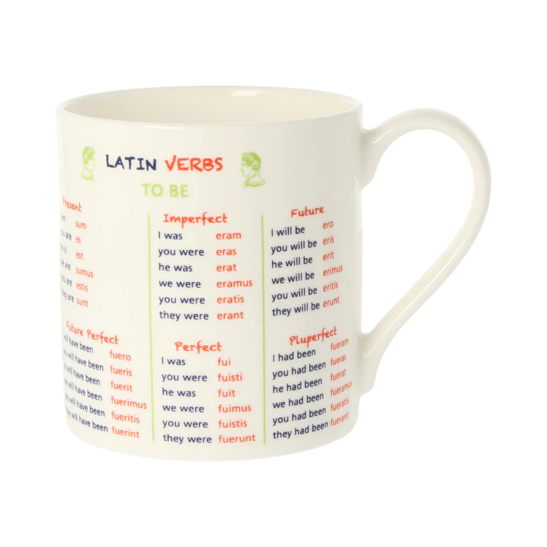 Mclaggan Latin Verbs Mug 300ml (Standard)