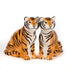 Quail Tiger Salt & Pepper Set