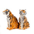 Quail Tiger Salt & Pepper Set