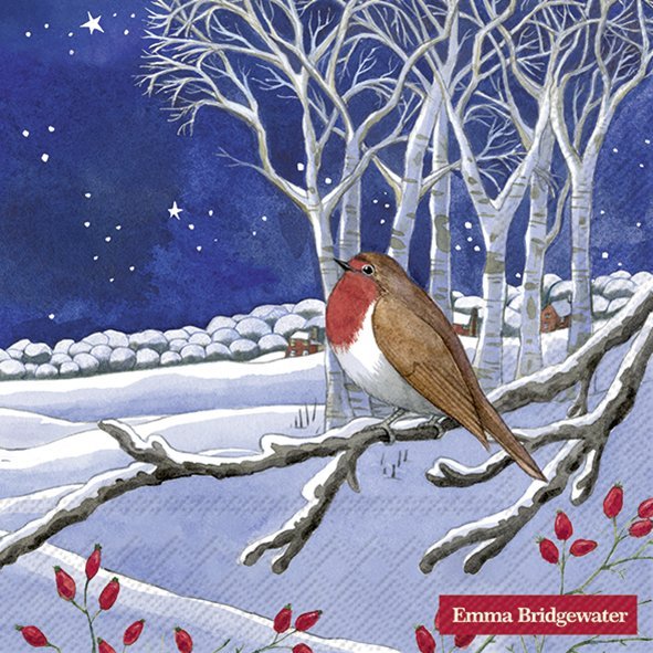 Emma Bridgewater Midnight Robin Lunch Napkin 33 x 33cm