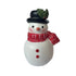 Christmas Snowman Resin Cake Toppers