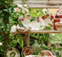 Emma Bridgewater Aubergine & Flowers Medium Pasta Bowl