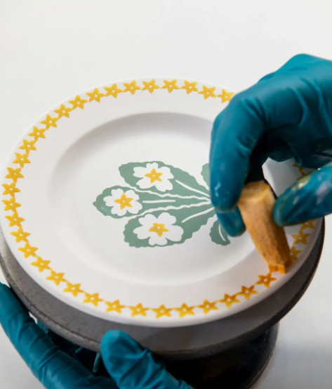 Emma Bridgewater NEW Primrose 6 1/2 Inch Plate