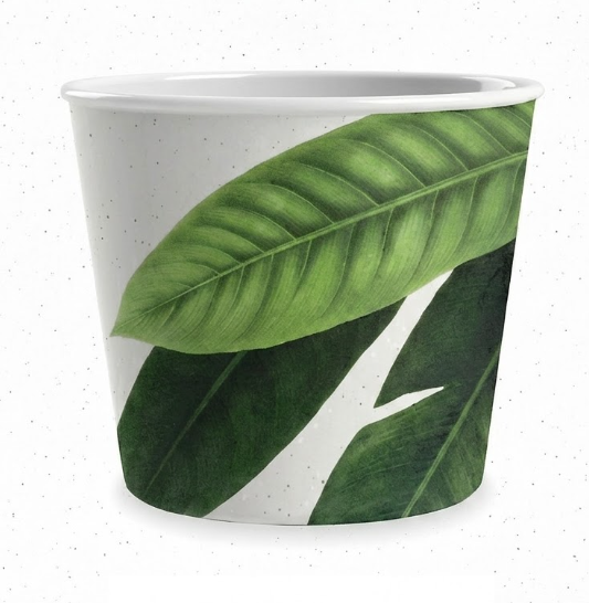 Amazon Floral Ice Cream Bowls (Available in 3 designs)