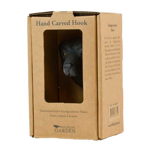 Hook Labrador Retriever