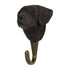 Hook Labrador Retriever