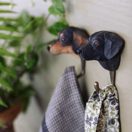 Hook Labrador Retriever