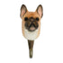 Hook French Bulldog