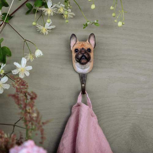 Hook French Bulldog