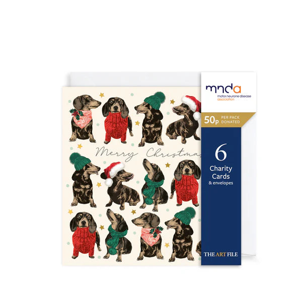 The Art File Festive Dachshund, Christmas Charity Cards PK of 6