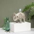 Hannah Turner Elephant Money Box