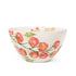 Blisshome Salad Bowl Vine Tomatoes/ Lollo Rosso