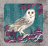 Dollyhotdogs Winter Owl Coaster