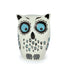 Hannah Turner Owl Money Box