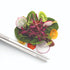 Taylor's Eye Witness 30cm Round Tipped Plating Tweezers