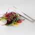 Taylor's Eye Witness 20cm Round Tipped Garnish & Sushi Tweezers