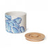 BlissHome Storage Jar Turtle