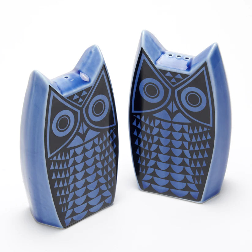 Hornsea Owl Cruet Set - Blue