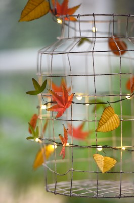 Lightstyle - Autumn  Leaves