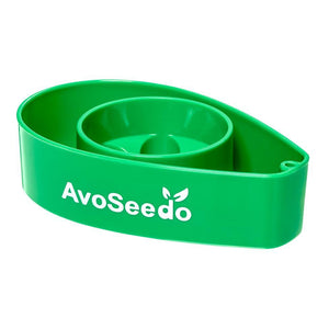 AvoSeedo - Grow Your Own Avocado Tree