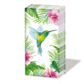 PPD - Sniff Tropical Hummingbird