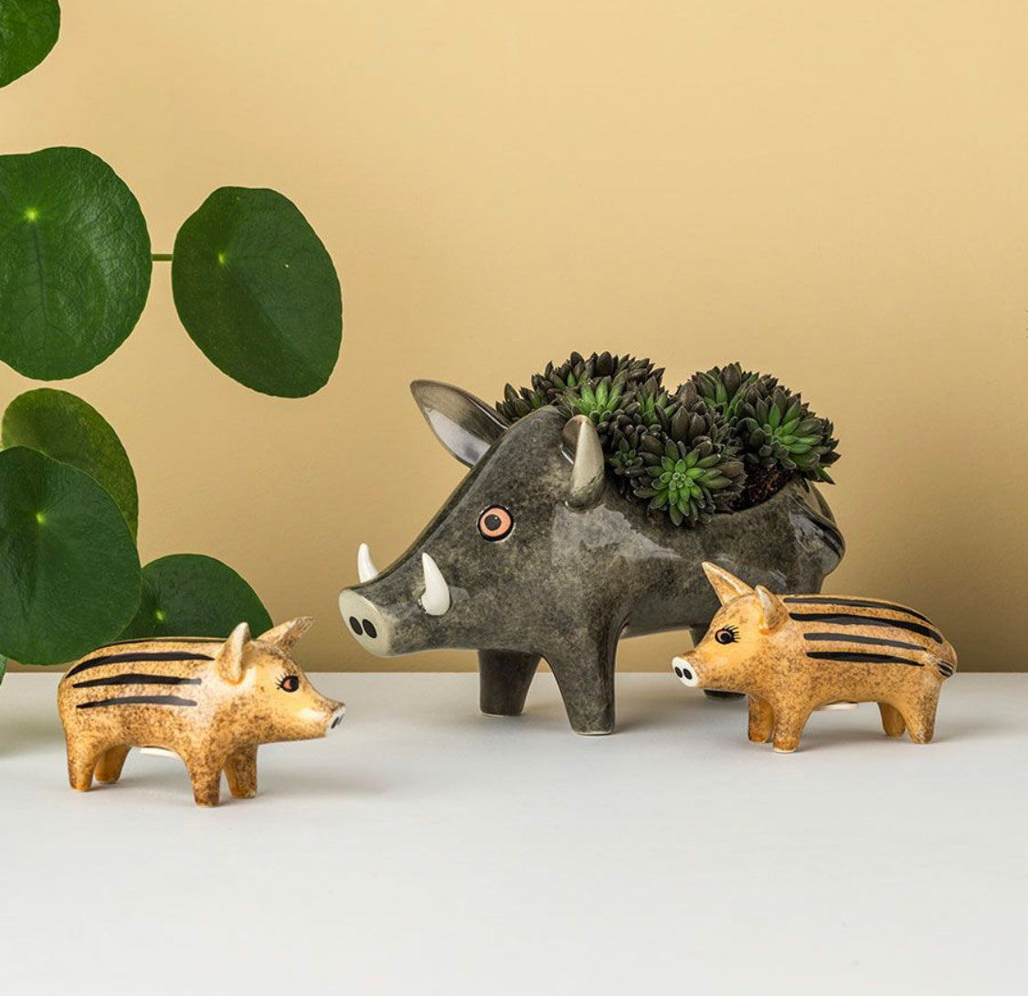 Hannah Turner Wild Boar Piglets Salt And Pepper Shakers