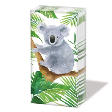 PPD - Sniff- tropical koala bear