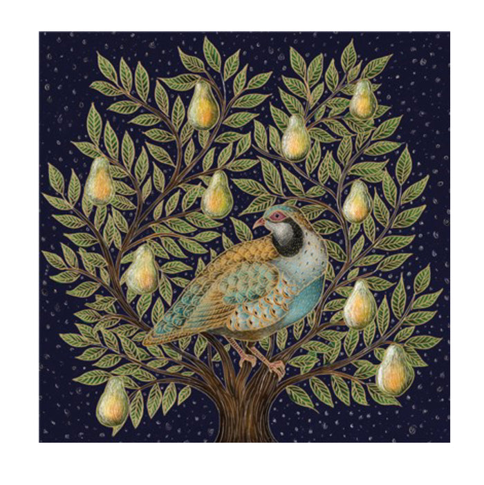 The Art File - Christmas Card Partidge and Pear Tree