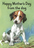 Kiss Me Kwik - Mother’s Day Dog  Card