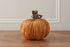 We Love Seasons - Handmade Light Orange Straw Pumpkin with Decorative Stalk